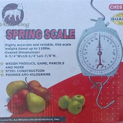 Spring Scale