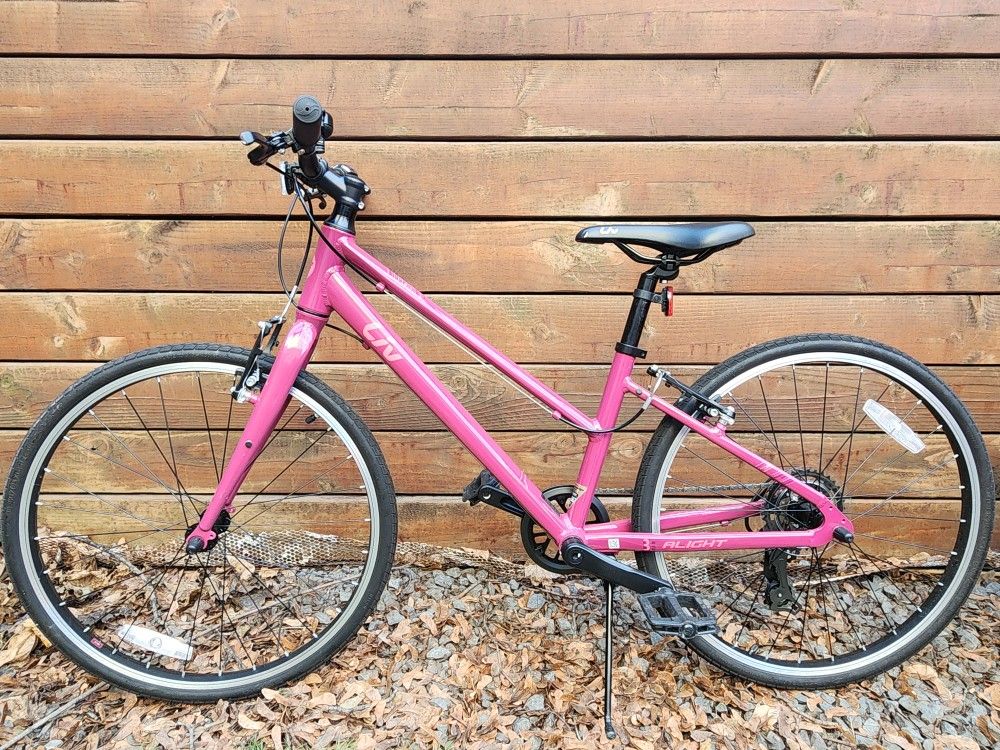 LIV Alight 24  Bike (Purple)- For Pick Up In NYC