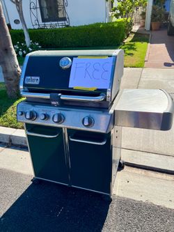 Free Weber Grill