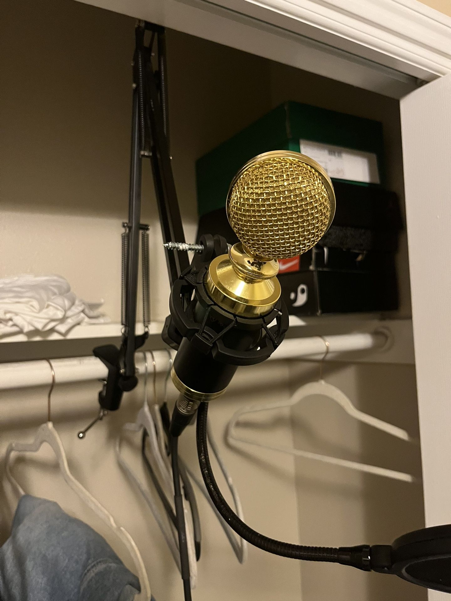 Recording Mic