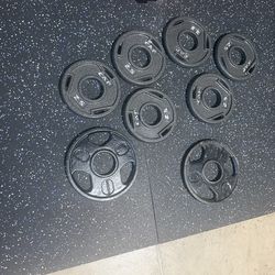 2.5 Lb Olympic Weight Plates (8)