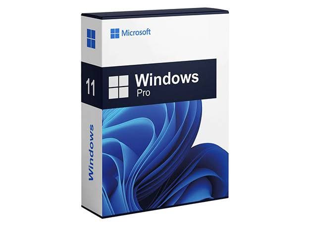Windows 11 Pro 1PC OEM 