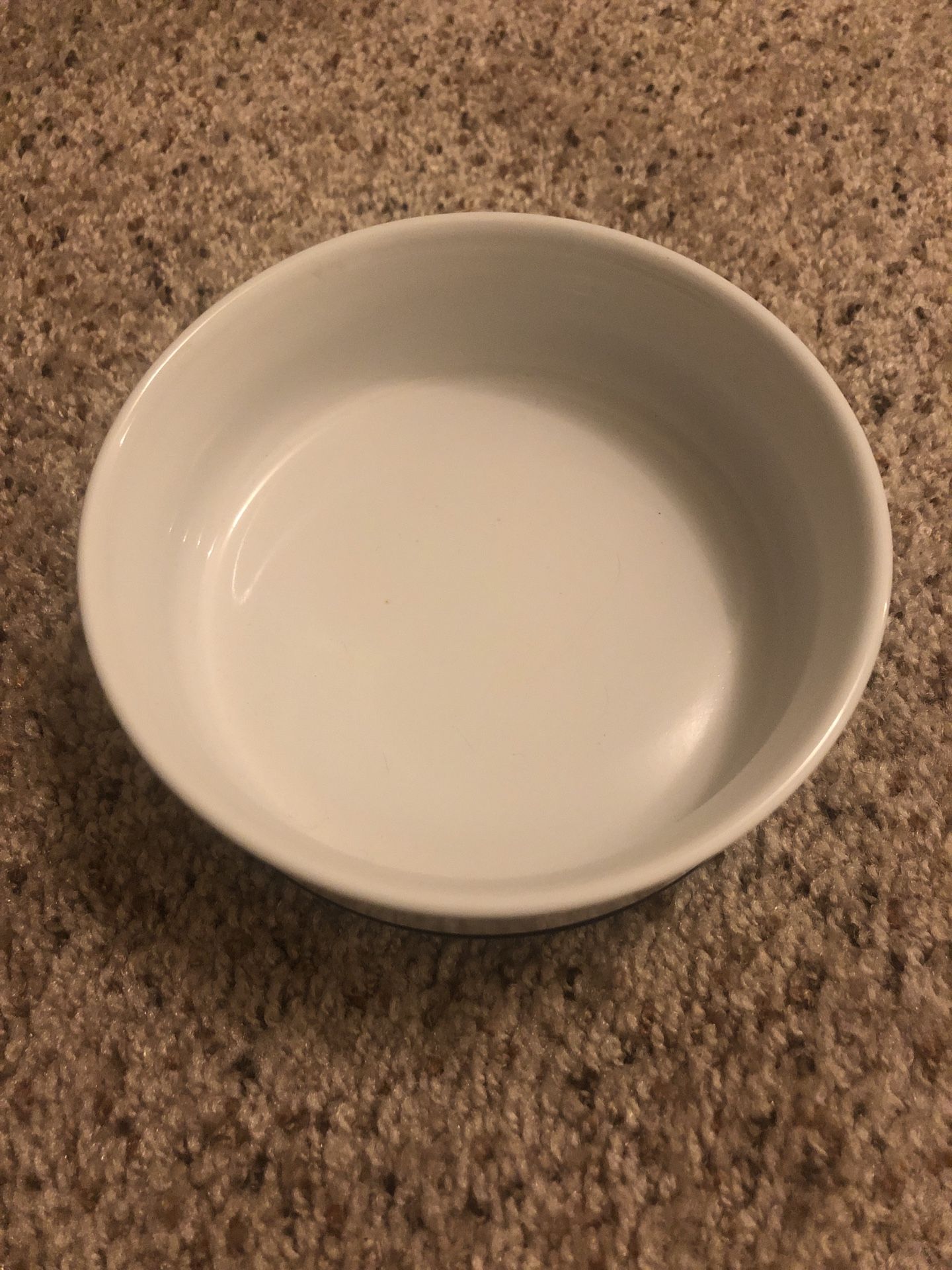 Petco Stoneware Food Bowl for Dogs/Cats/Pets (2.5 cups)