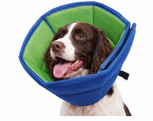 Dog Cone MEDIUM