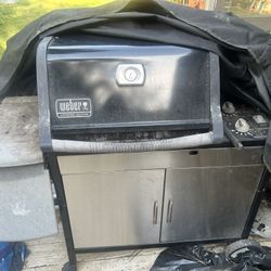 Weber Grill