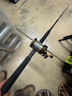 Murrieta Daiwa Sealine 50/ Tiburon graphite salt water fishing combo.  Ready to fish.