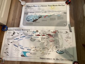 (2) NOS U.S. Fish and wildlife promotional posters