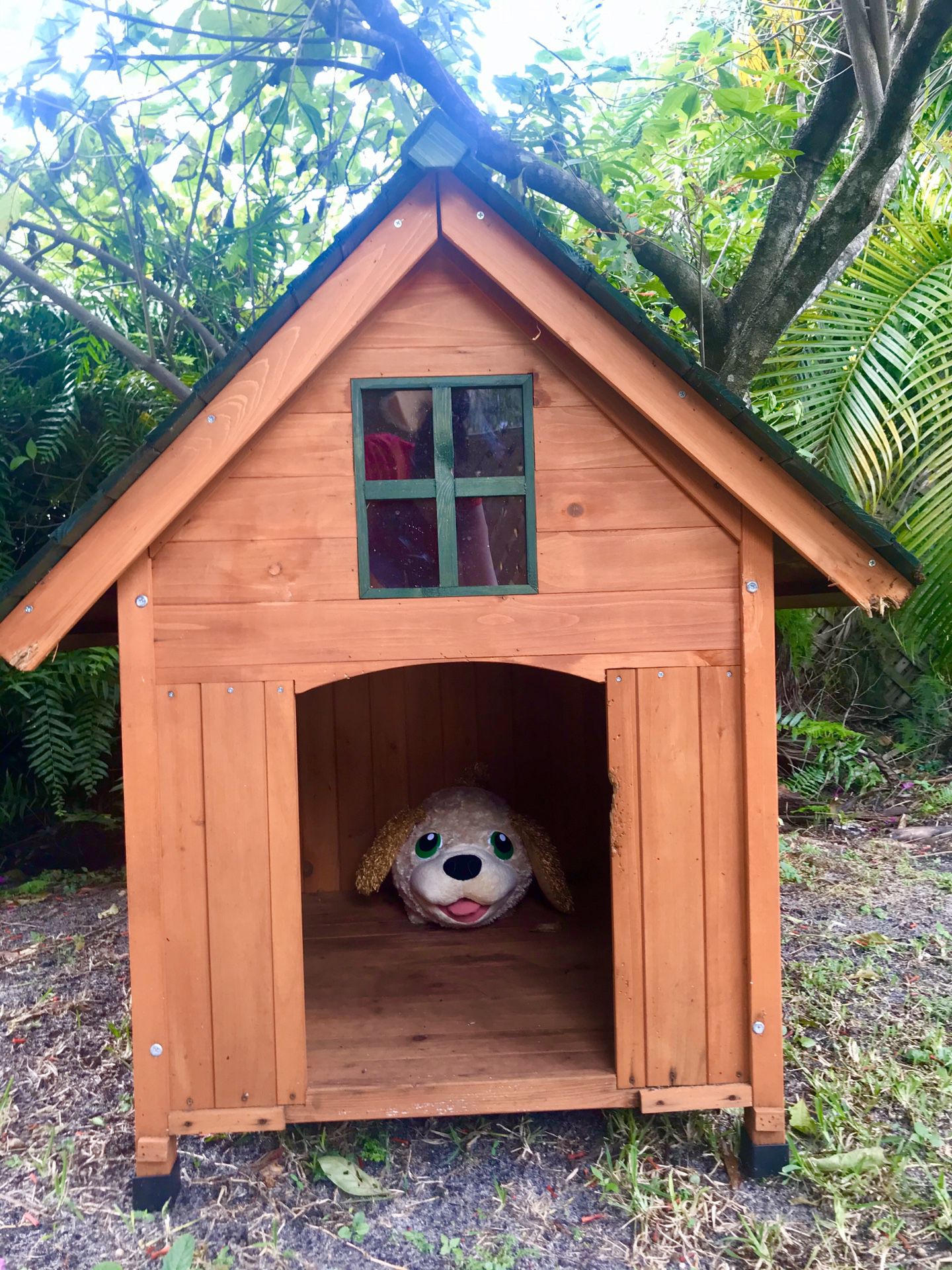 Wood Dog house