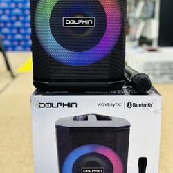 2400W 8” Rechargeable Party speaker with wireless mic and sound activated lights