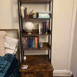 Cat litter box enclosure with shelves and doors and storage