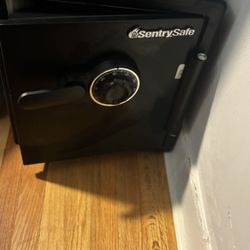 Sentrysafe Safe Box