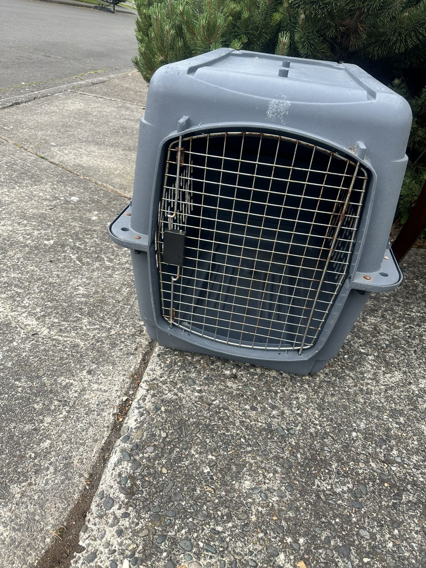 Dog Crate