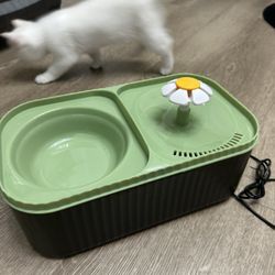 Cat Water Fountain