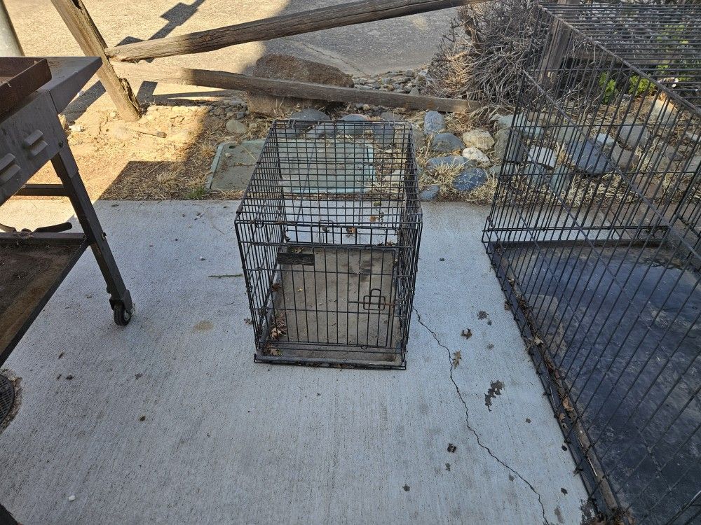 Small Dog Crate