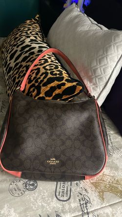 bolsa Coah