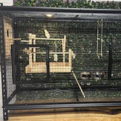 Birds Cage 