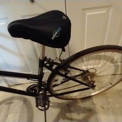 TREK  Multi-Track Bike $125