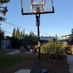 Basketball Hoop
