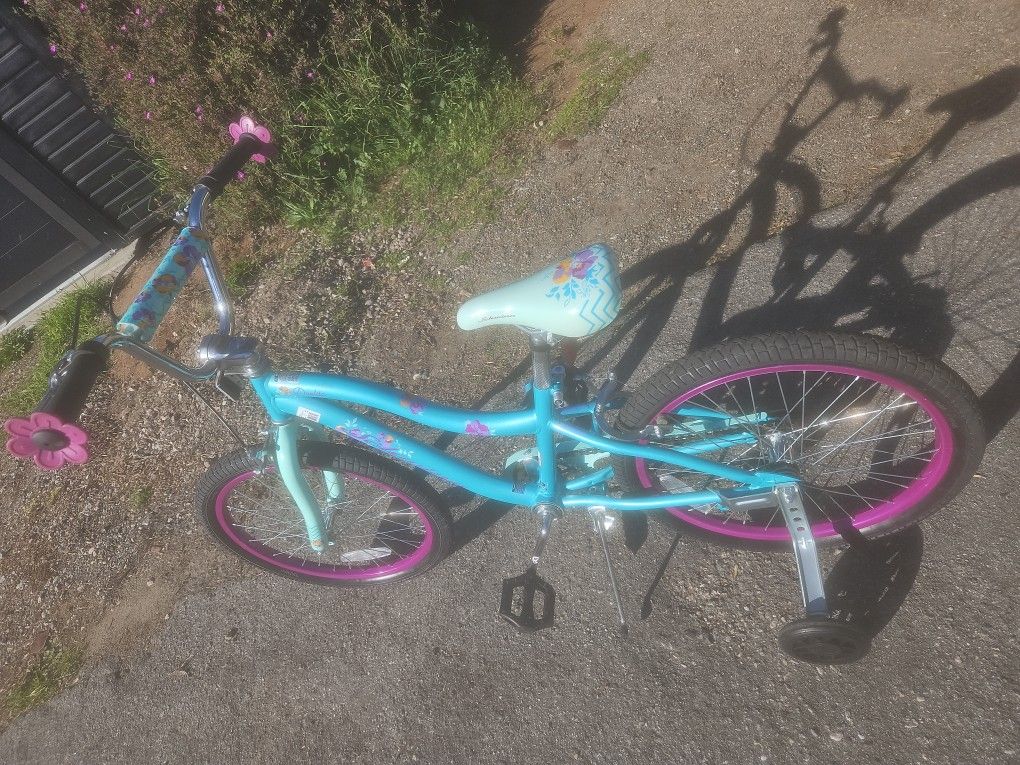 SCHWINN DEELITE 20 INCH WHEELS GIRLS BIKE