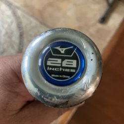 Baseball Bat