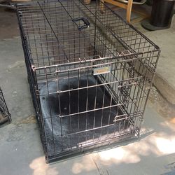 Dog Kennel 