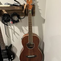 Ibanez Acoustic-Electric Bass 