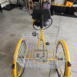 Adult Tricycle 