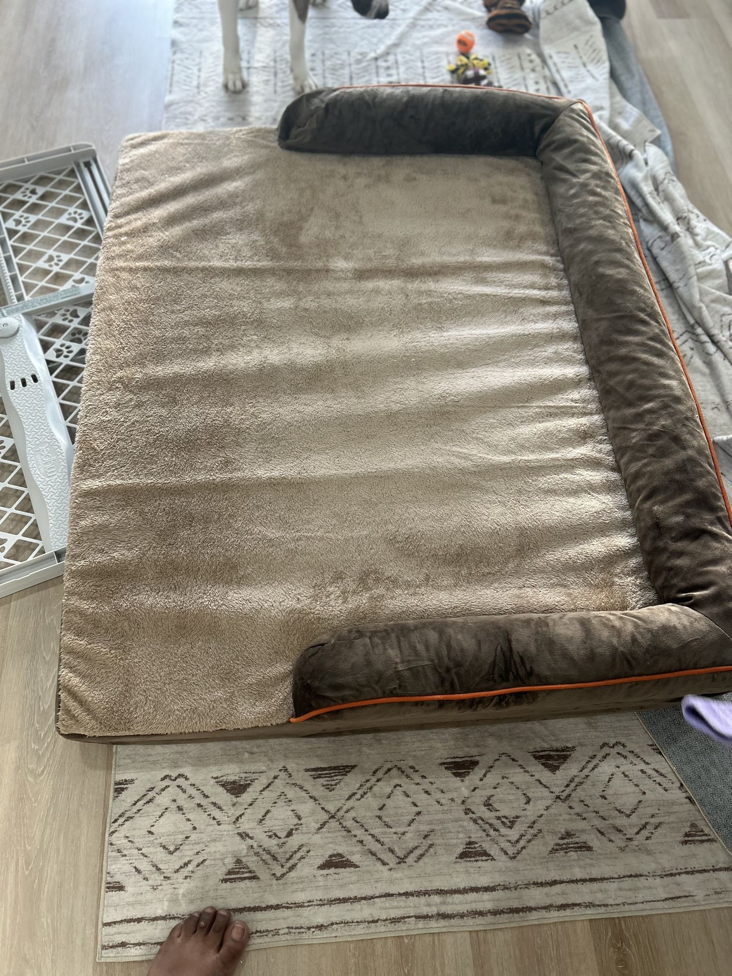 Big Dog Bed