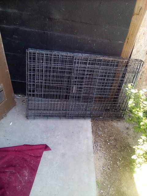 Big Dog Cage