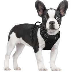 Rabbitgoo Small Black Dog Harness NEW!