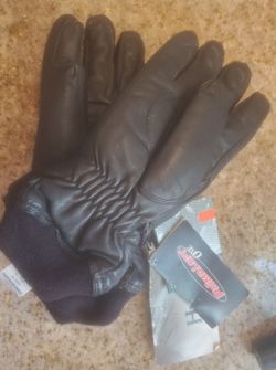 Gardini ski gloves