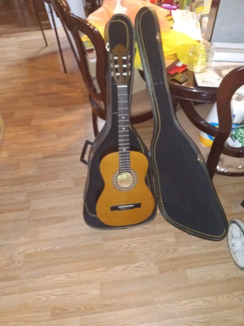 Acoustic Guitar Montana CL 141