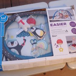 Baby Play Mat and Infant Activity Gym