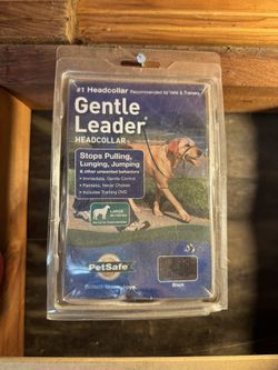 Gentle leader Dog Leash