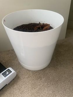 Large White Plastic Planter Pot
