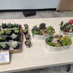 TODAY!! FLEA MARKET FRIDAY NIGHT  MOOSE LODGE IN CASTRO VALLEY  STARTS AT 5pm