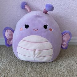 Butterfly Squish Mellow