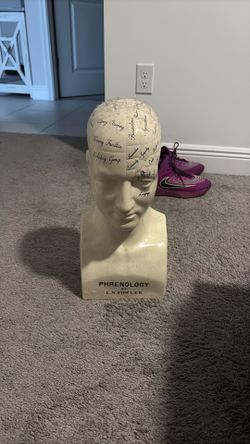 Phrenology Head