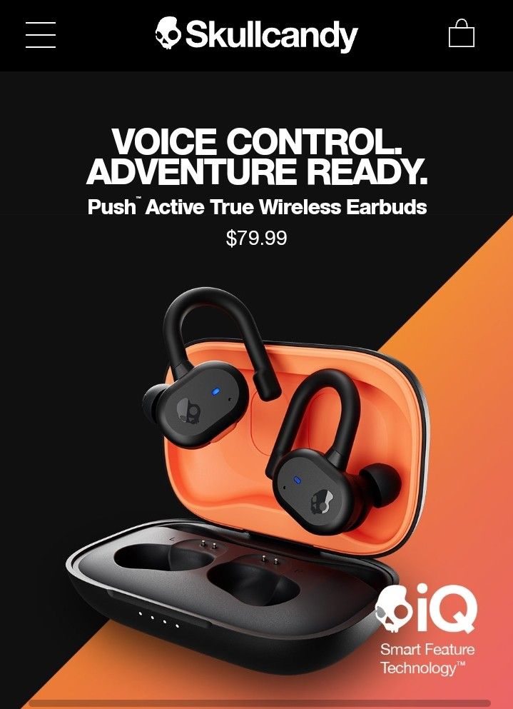 Skull candy Push Active Series  Wireless Earphones Bluetooth With Voice Control New $30