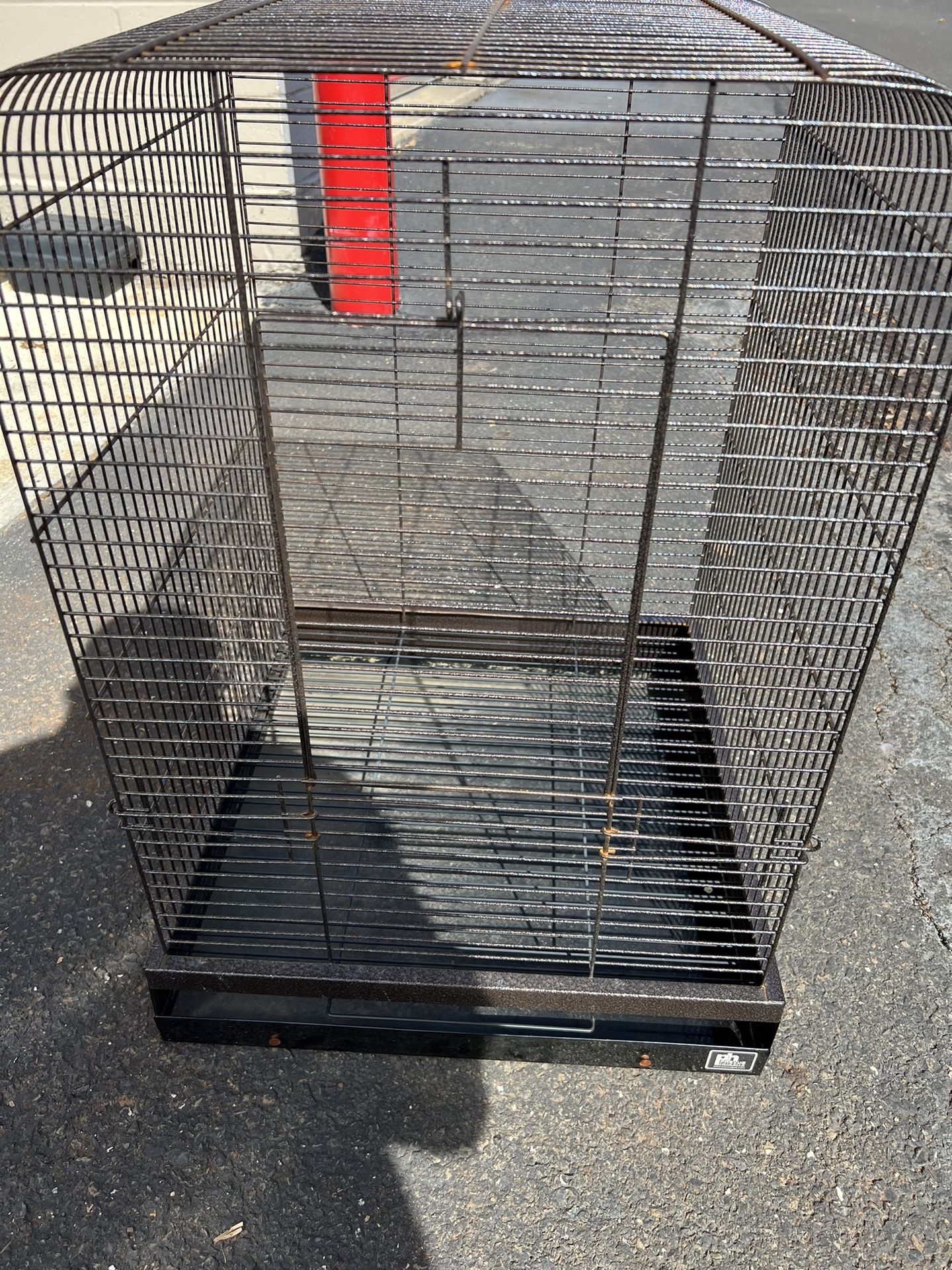 Birds Cage 