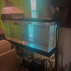 55 Gallon Tank And Stand
