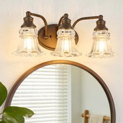 3-Light Bathroom Vanity Light Fixture