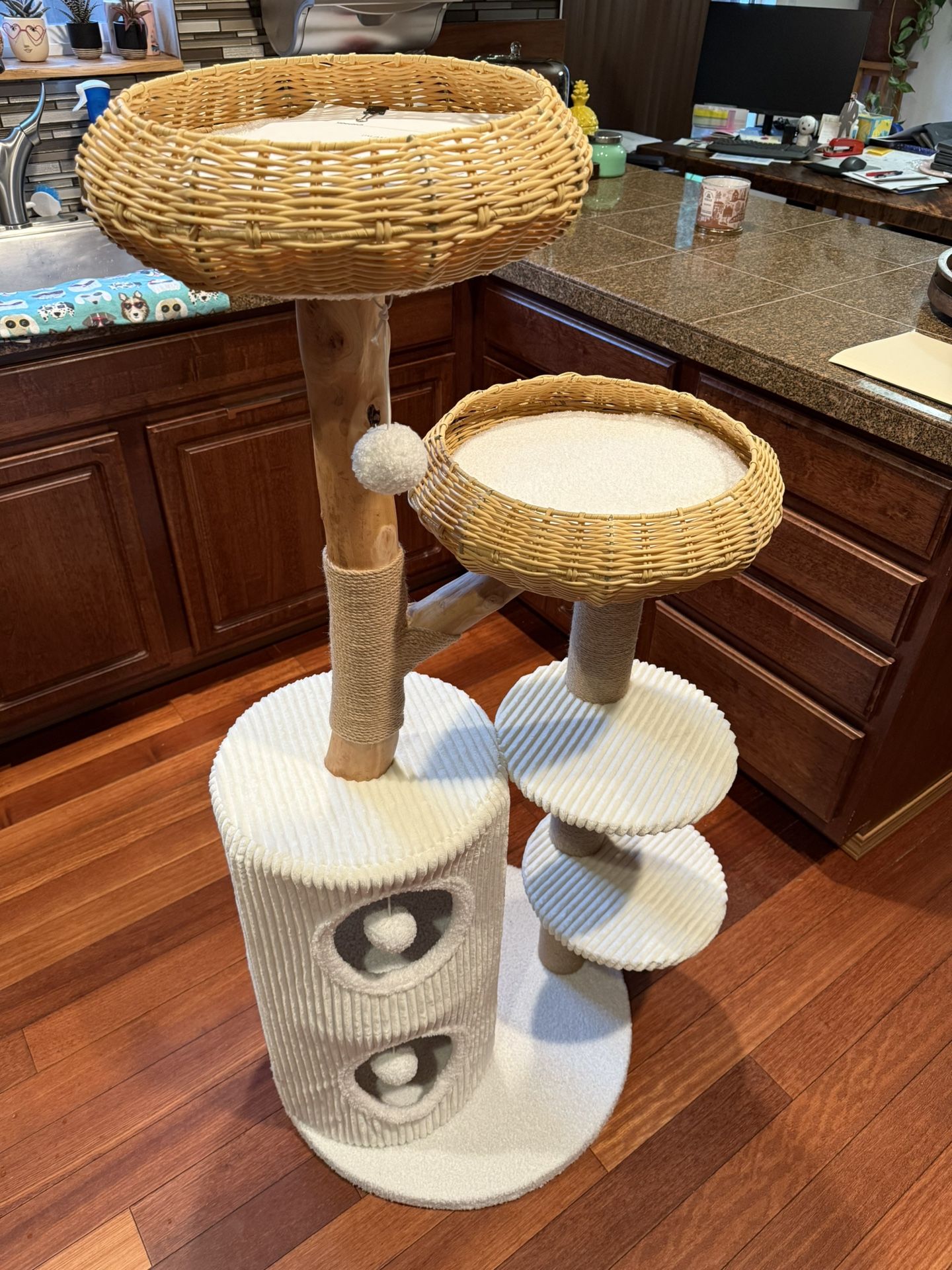 Cat Tree Brand New