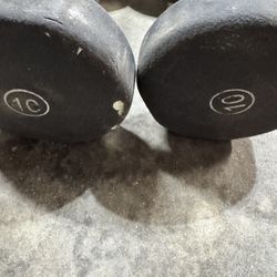 A pair of rubber coated 10lbs dumbbells