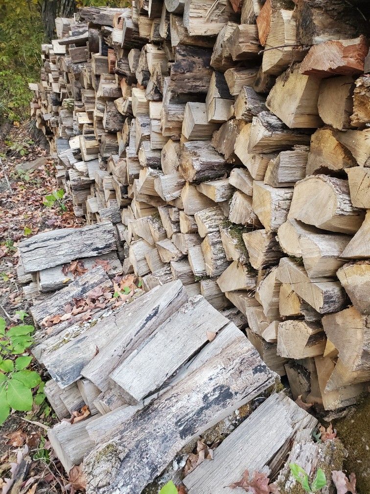 Seasoned Firewood