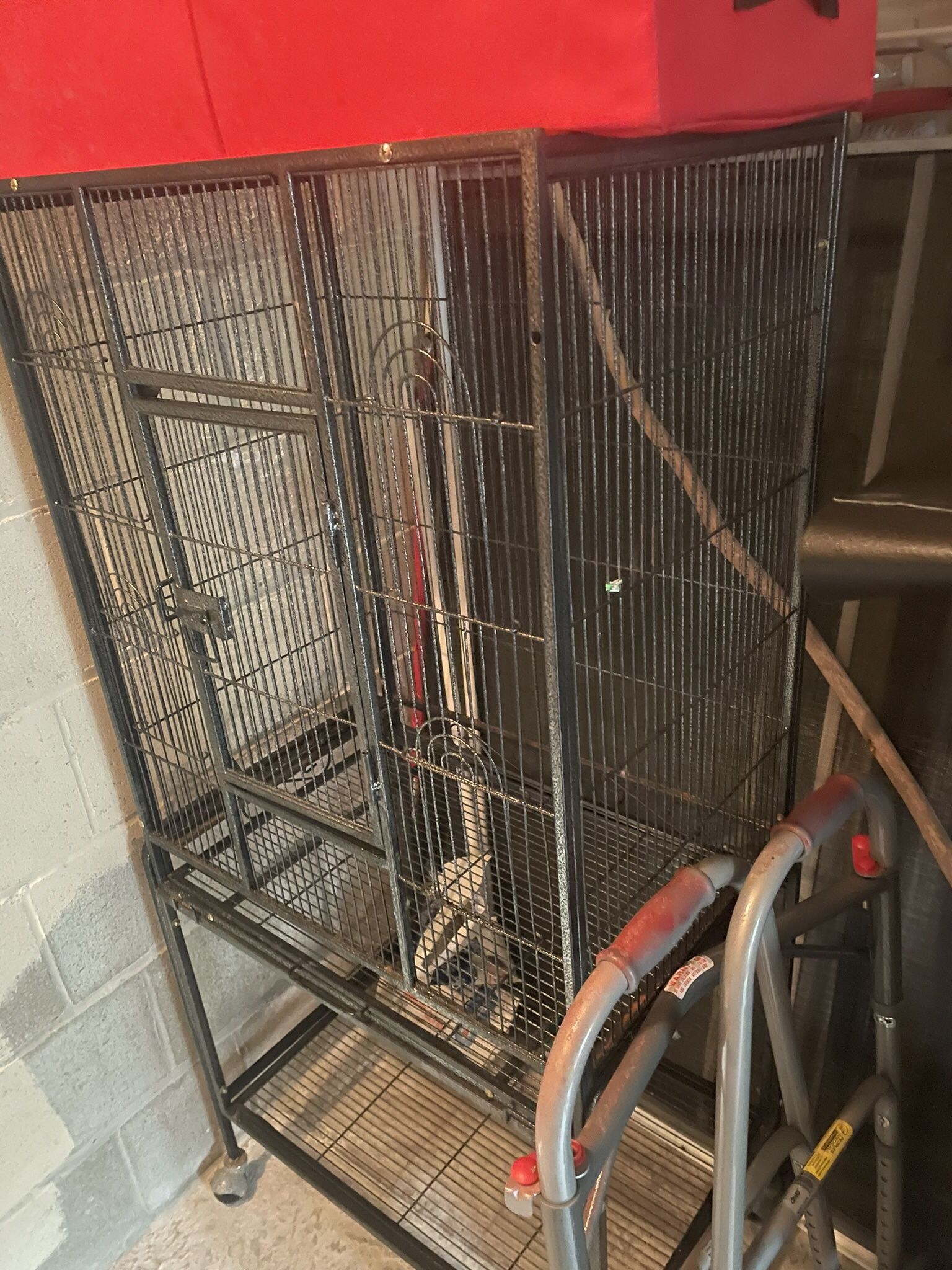 Brid Cage Haula Para Aves