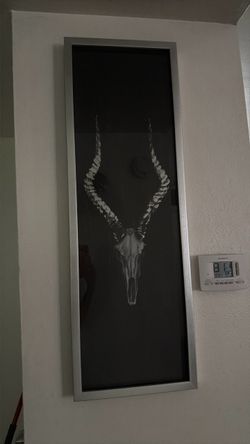 Impala Skull Wall Art