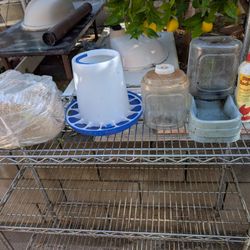 Chicken Supplies In Very Good Condition