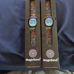 Magic Bands 