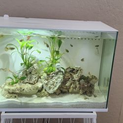 Top Fin 5 Gal Fish Tank With Build In Filter And Drain